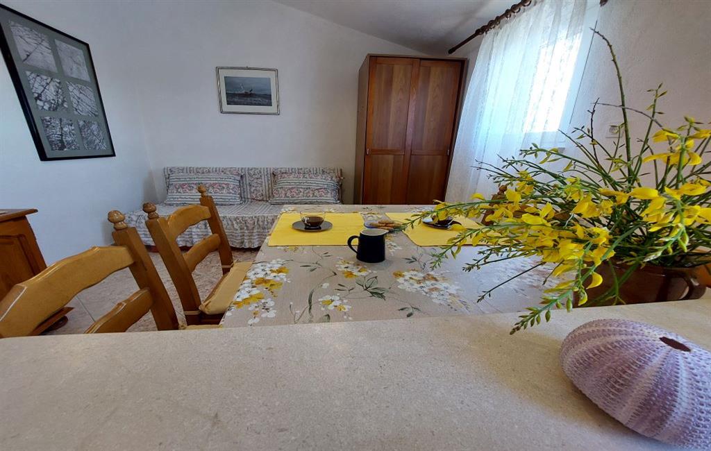Apartman Anamare