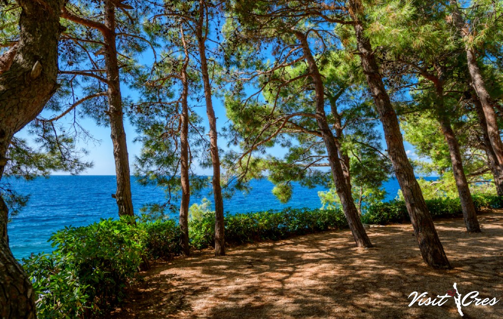 kamp cres